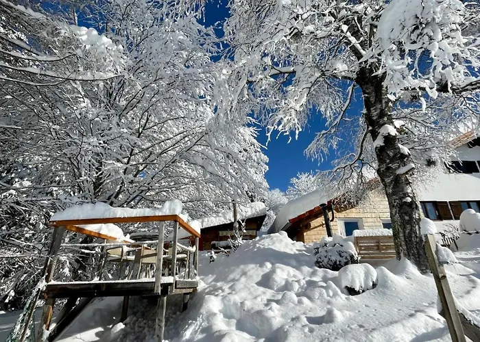 65 * Юнгхольц