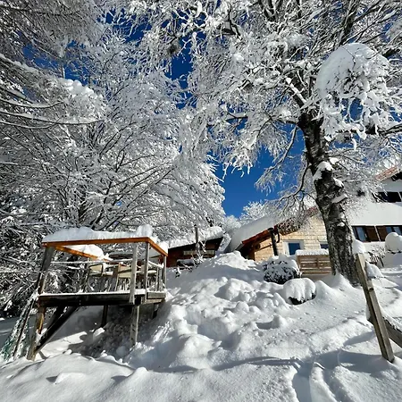 65 * Γιούνγκχολτς